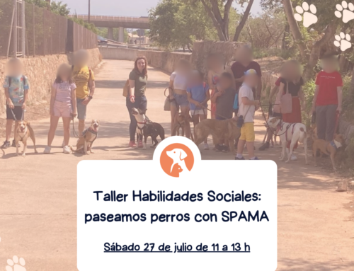 5ª edición taller de Habilidades Sociales con SPAMA