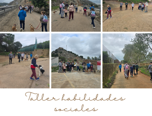 Taller habilidades sociales con SPAMA